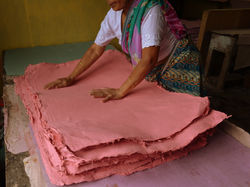 Collecting Dried Sheets