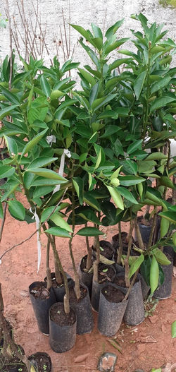 WhatsApp Image 2022-05-30 at 10.01.23 (1)