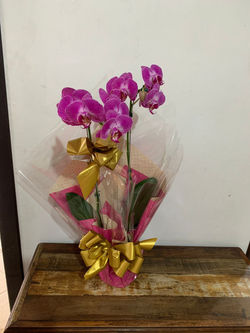 WhatsApp Image 2022-05-28 at 11.03.11