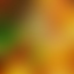 Hab eine schöne Woche