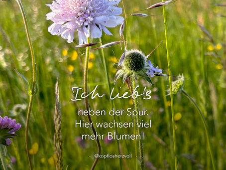 schön ist es da