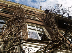 538289_3893404858437_779273502_n