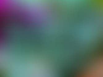 I planned weeks worth of meals using only amazon!