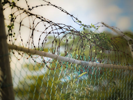 Tymczasowe aresztowanie