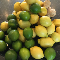 lemons.JPG
