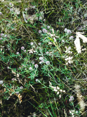 Was deine Chakren dir sagen - und wie du sie wieder in Balance bringst