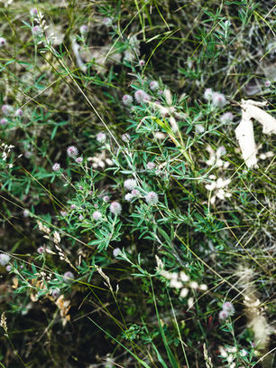 Wie du emotionale Überforderung erkennst- und sanft löst