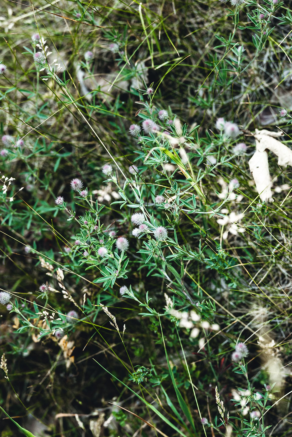 Was deine Chakren dir sagen - und wie du sie wieder in Balance bringst