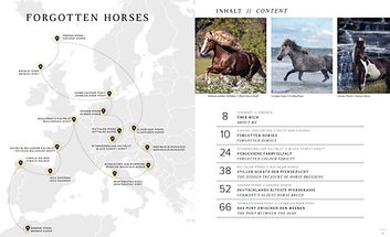 20241125_Forgotten-Horses_Ansicht_Seite_004-scaled-1.jpg