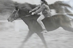 Tarzan v. Ben-Venuto a. d. Gesine (Foto Friedrich Lilienbthal).jpg