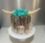 Highland cow cake