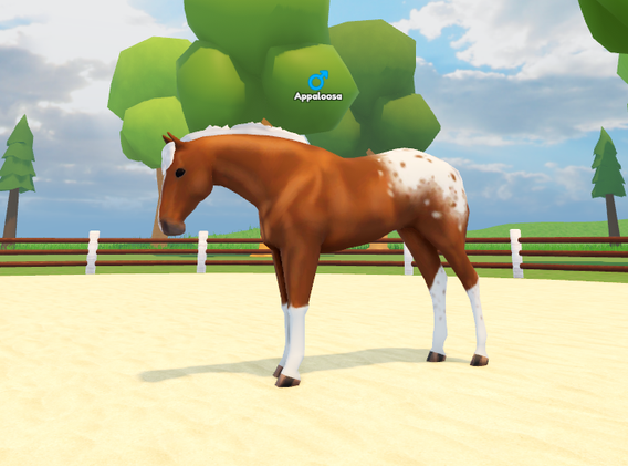 RobloxScreenShot20220822_105244640.png