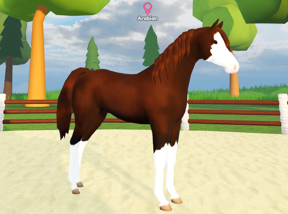 RobloxScreenShot20220822_132008469.png