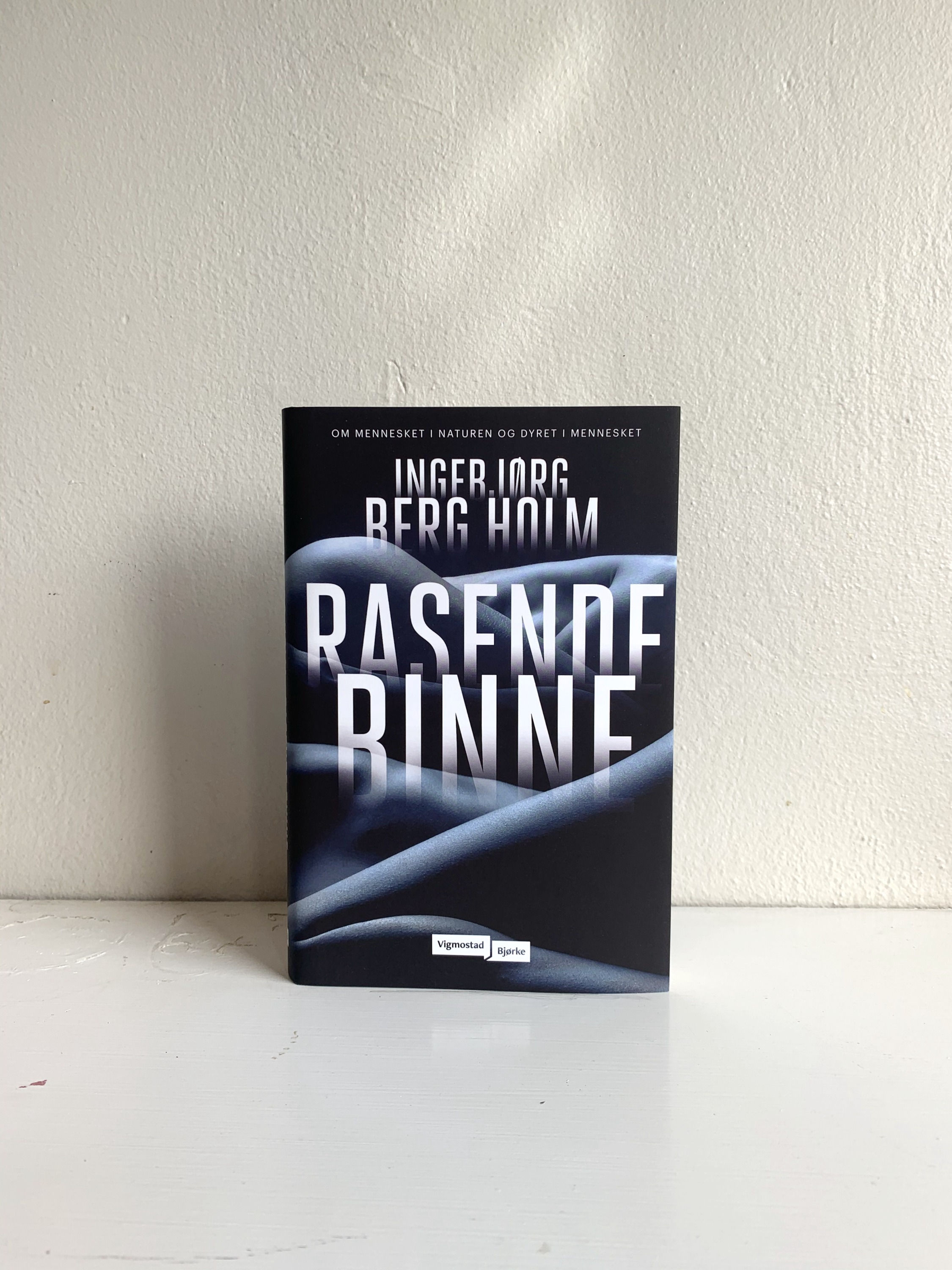 Inger Jørg Berg Holm "Rasende binne"