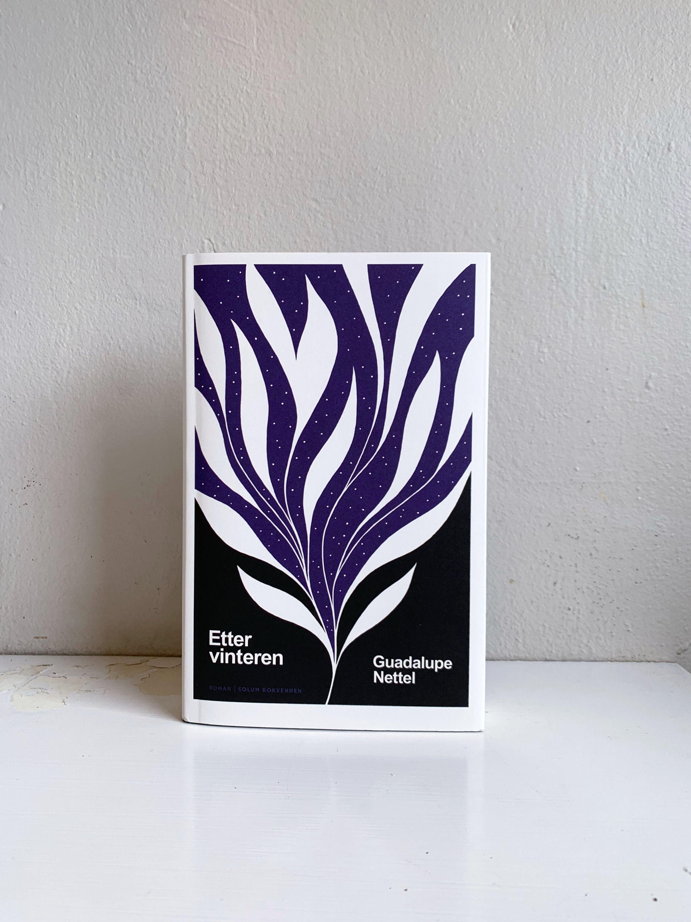 Guadalupe Nettel, "Etter vinteren"