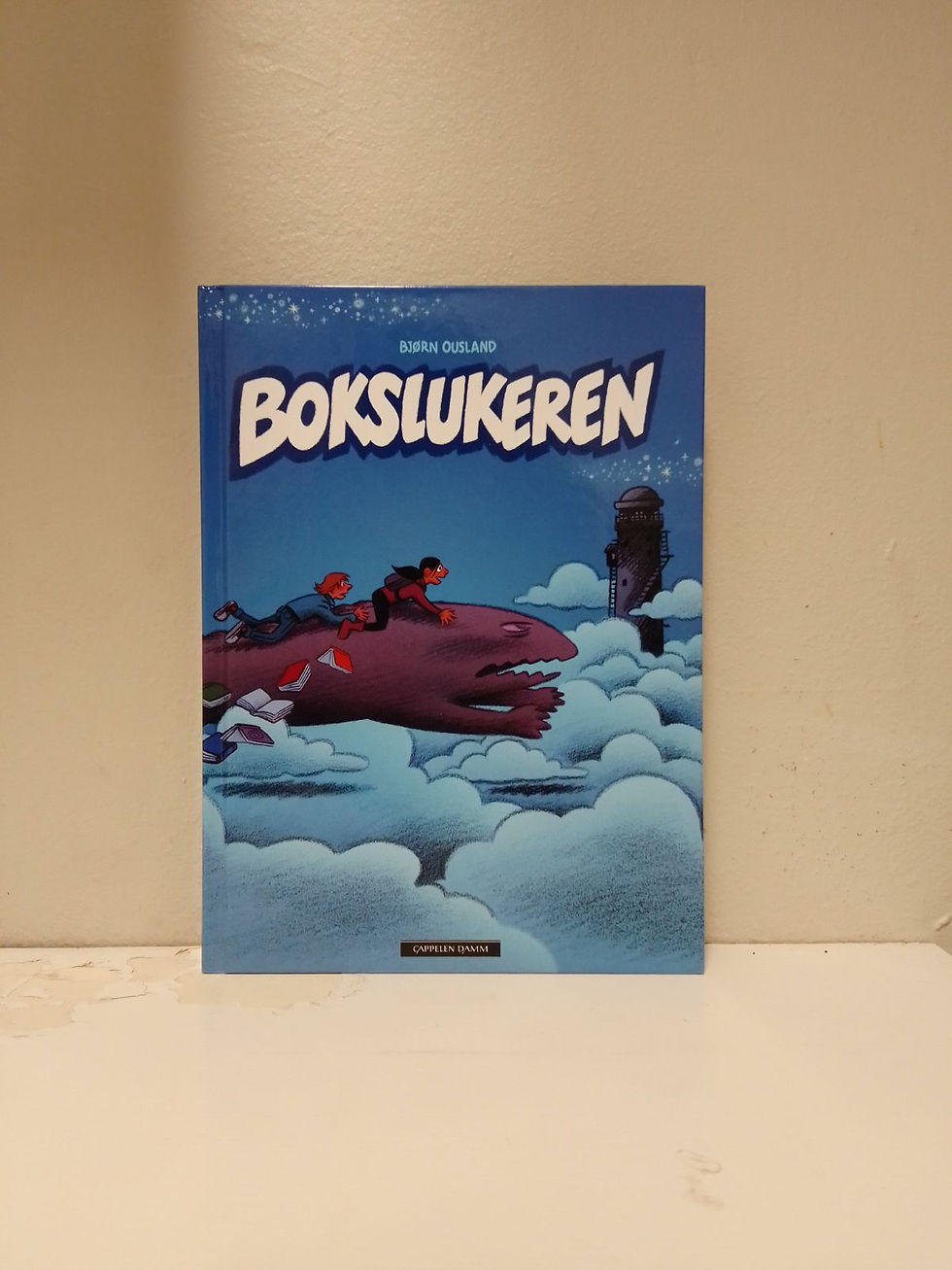 Bjørn Ousland, "Bokslukeren"