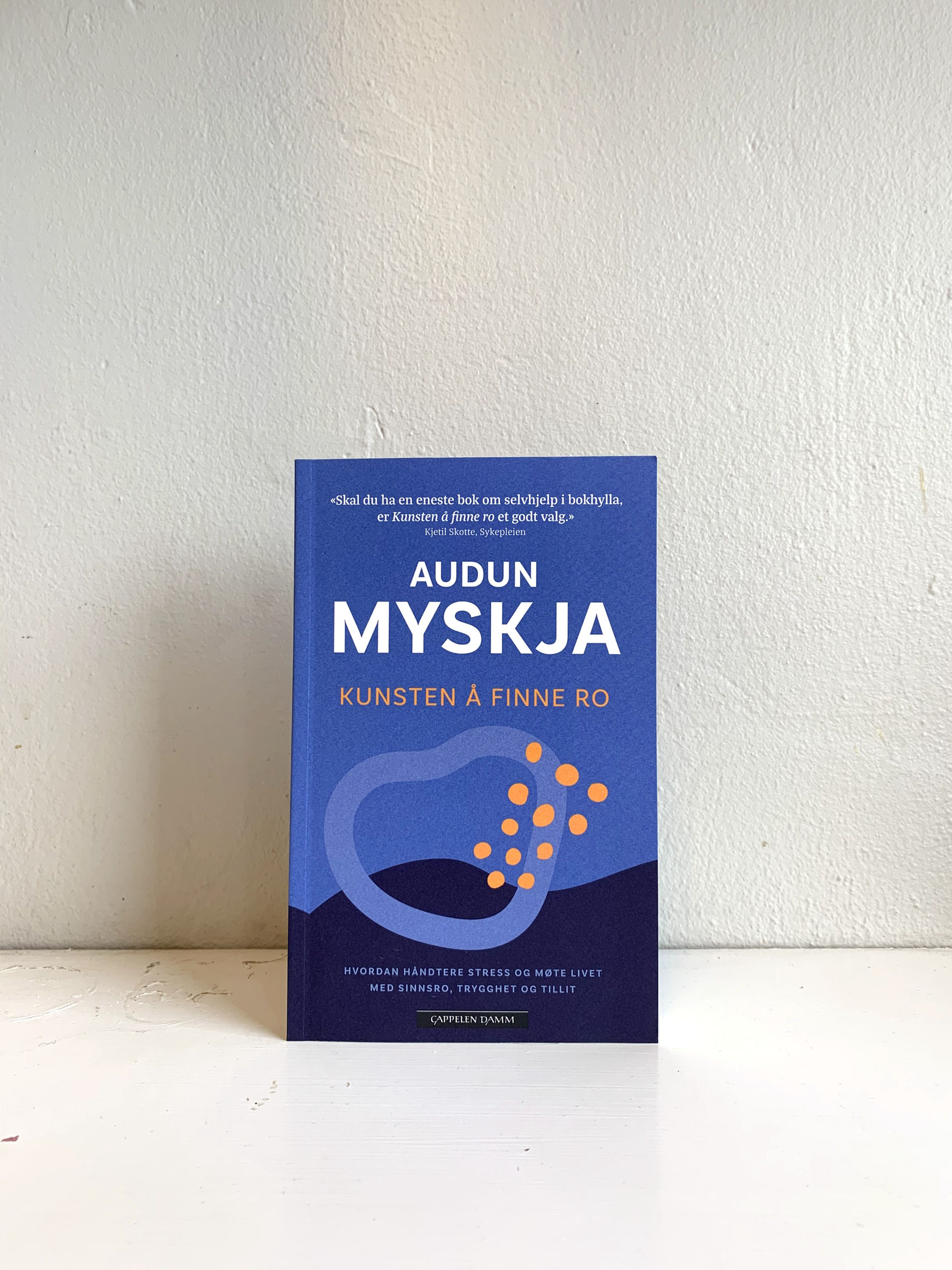 Audun Myskja "Kunsten å finne ro"