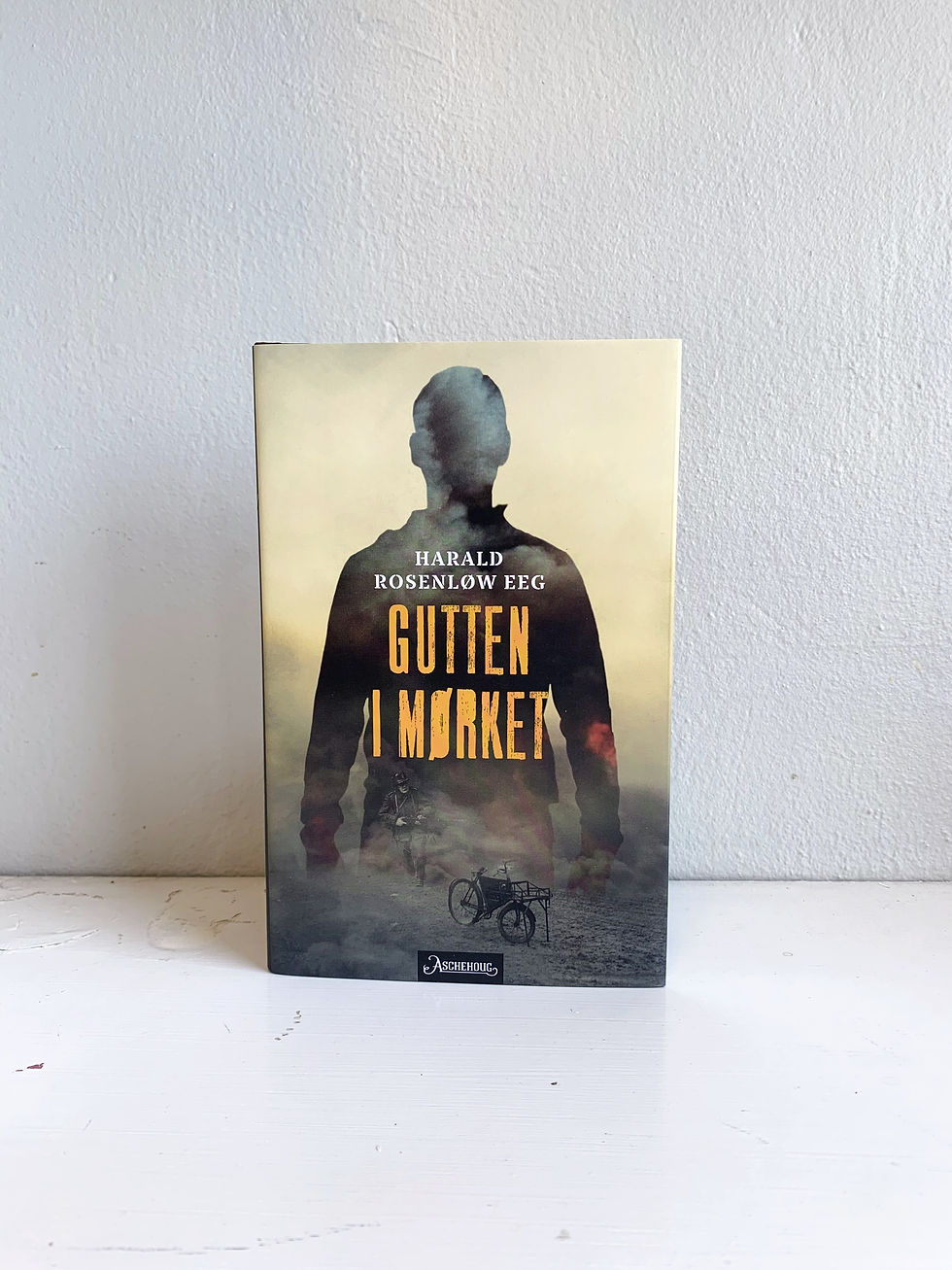 Harald Rosenløw Eeg, "Gutten i mørket"