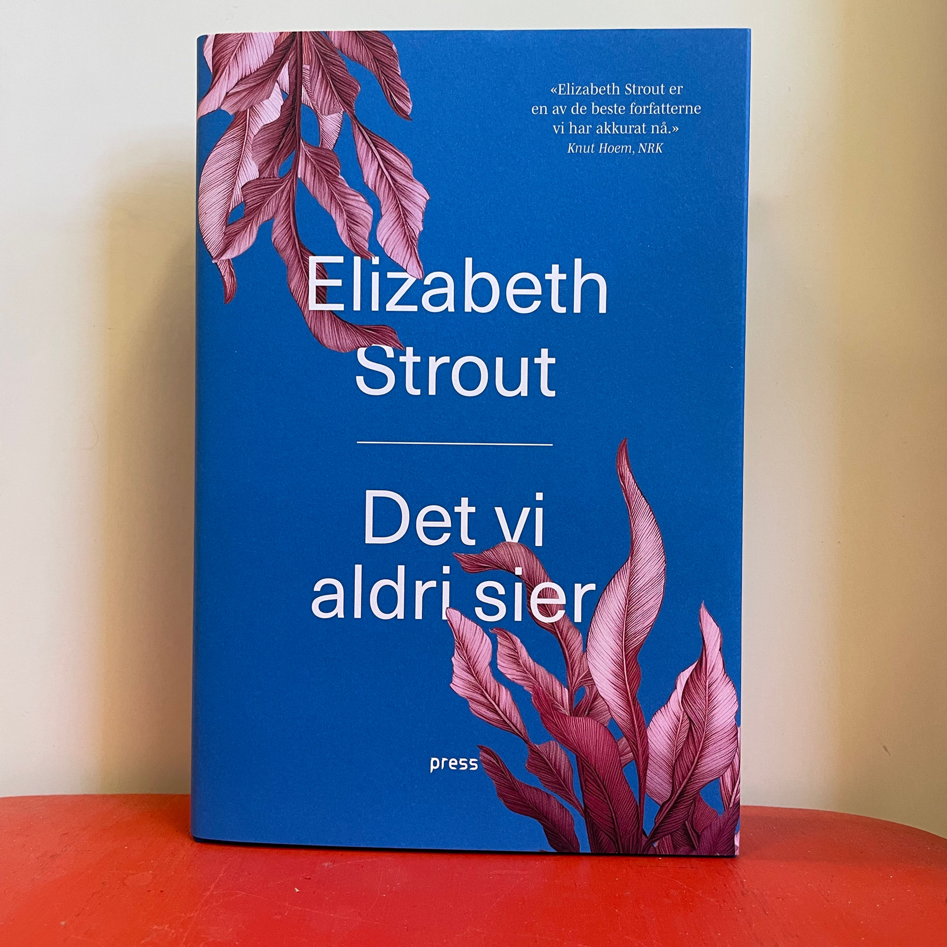 Elizabeth Strout, "Det vi aldri sier"