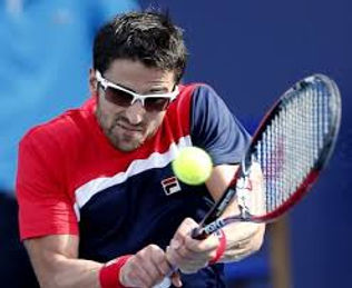 Tipsarevic.jpg