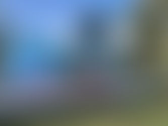 Cross Country at State