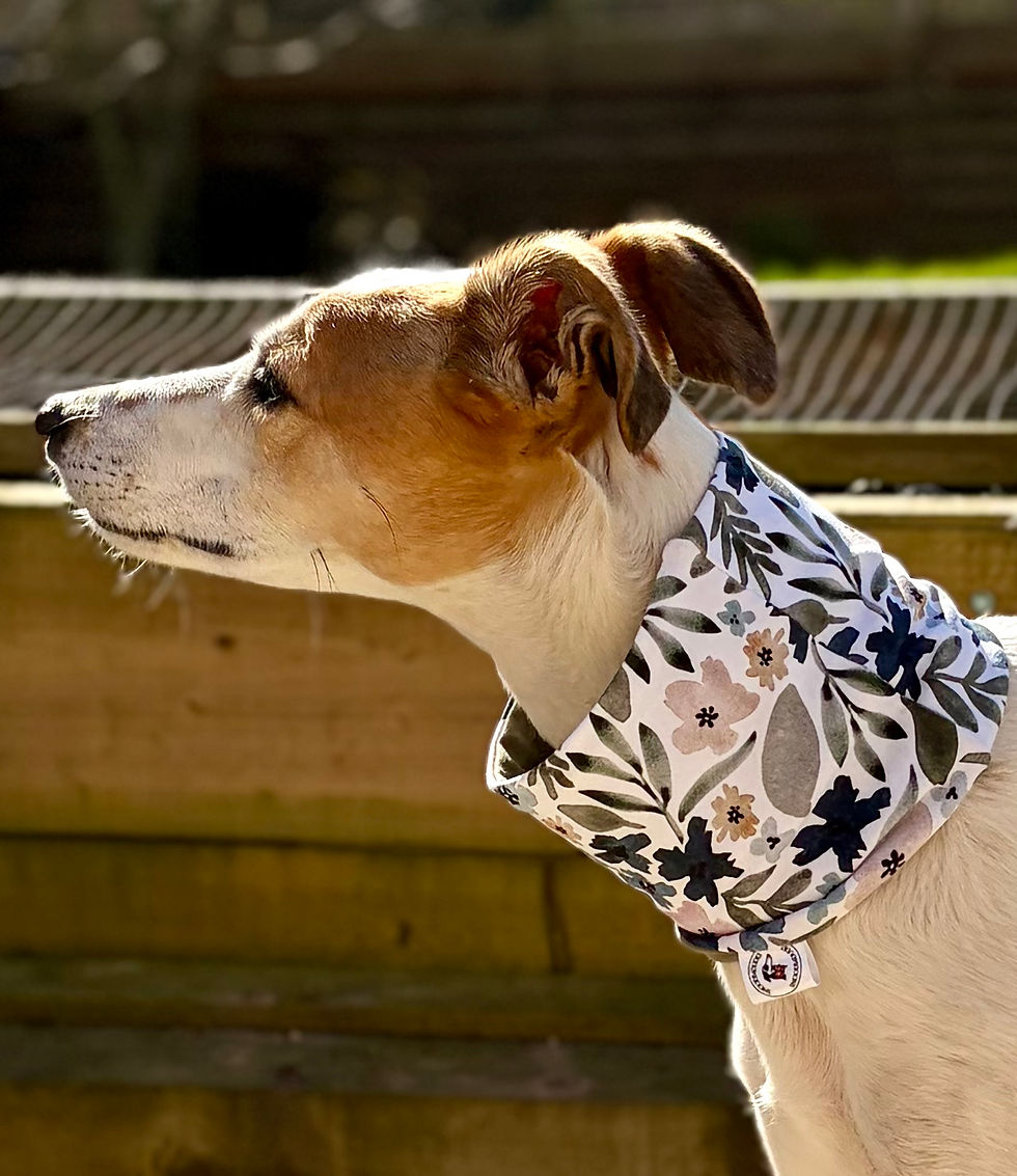 Thumbnail: Olive and Bloom Dog Snood