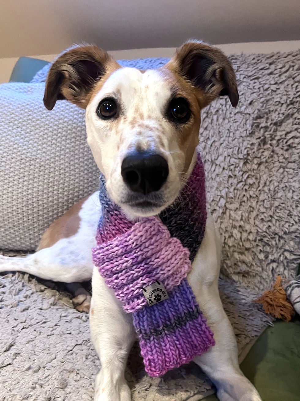 Rainbow Dog Snarf hand-knitted in pink, blue and lilac yarn