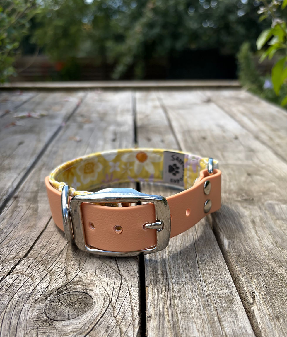Thumbnail: Spring Floral Heritage dog collar with saddle tan Biothane buckle strap