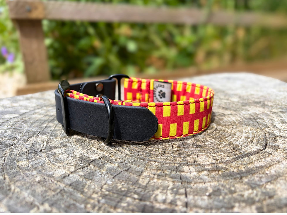 Thumbnail: Northumberland Heritage Buckle Dog Collar with printed fabric, black hardware and Biothane strap