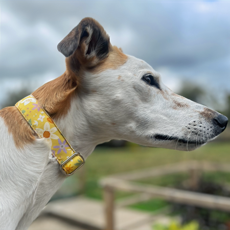 Handcrafted Clip Collars