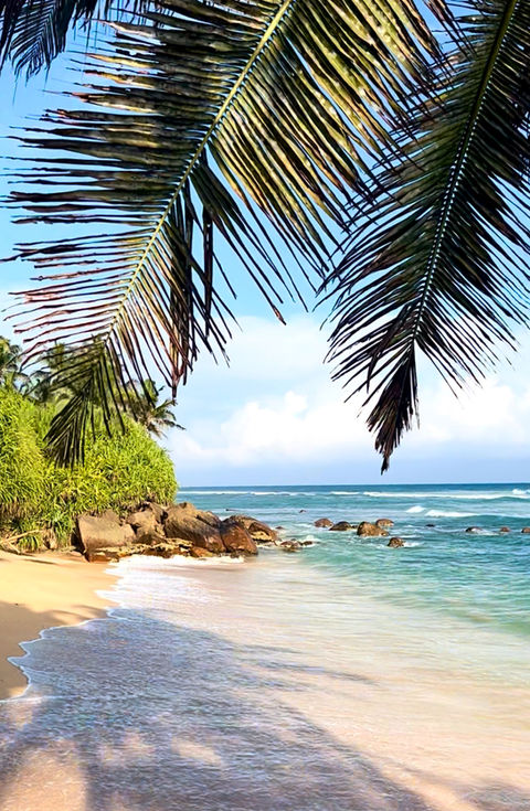 empty beachfront with clear water with some stones and clear nature