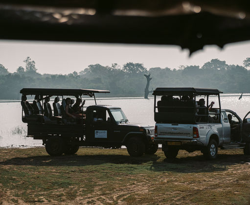 Safari jeeps