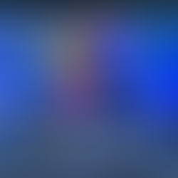 Men’s Physique Training 