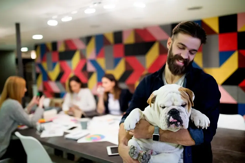 Four Ways to Create a Pet-Friendly Company to Attract Top Talent