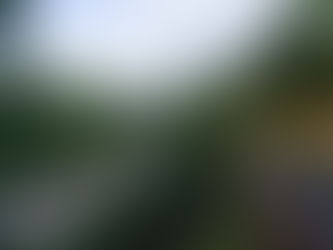 Clipping In (to the bike pedals) A Little History cont. #5