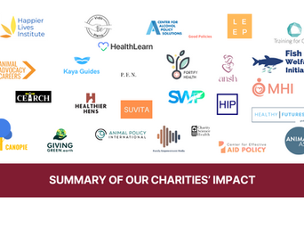 Summary of our charities’ impact