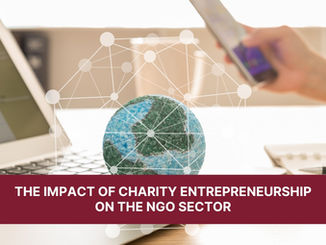 The Impact of Charity Entrepreneurship on the NGO Sector