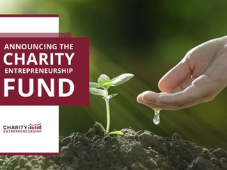 Announcing the Charity Entrepreneurship Fund