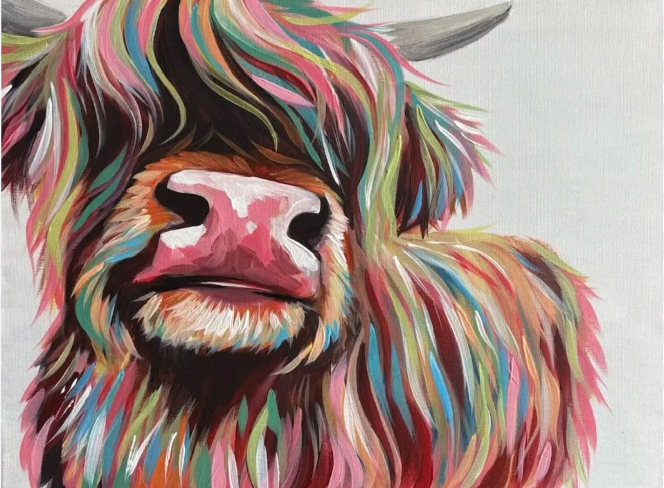 Highland Cow