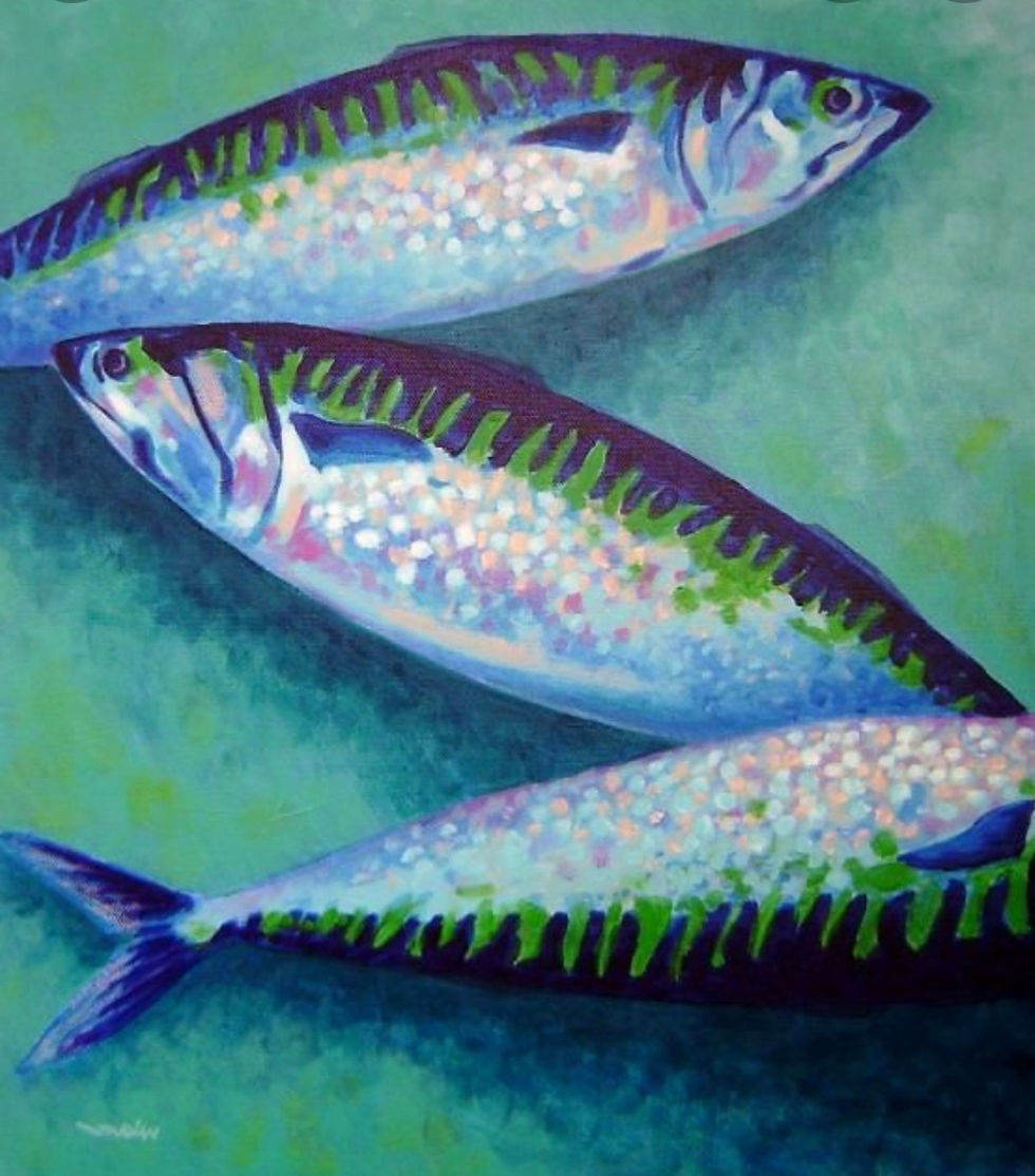 PRIVATE EVENT - Umbrella Centre - Mackerel