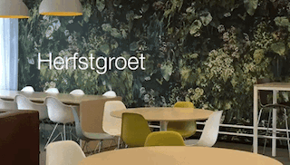 HERFSTGROET '17