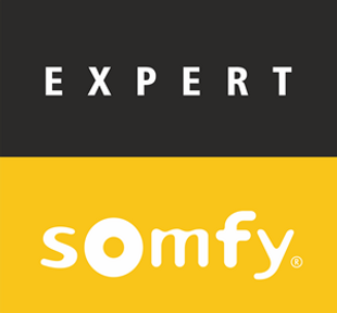 somfy motorization