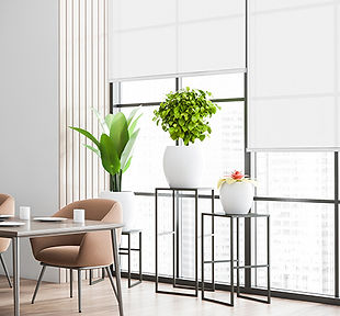 Roller Shades