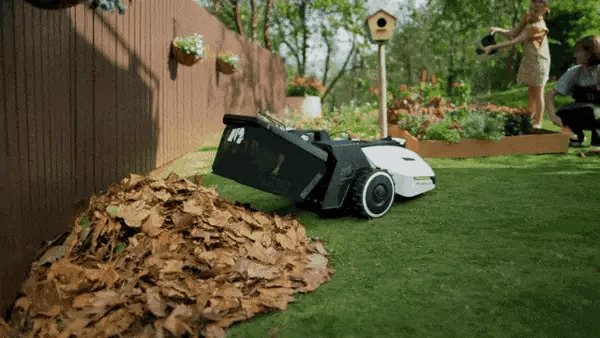 ezgif-6-f41c992165.gif