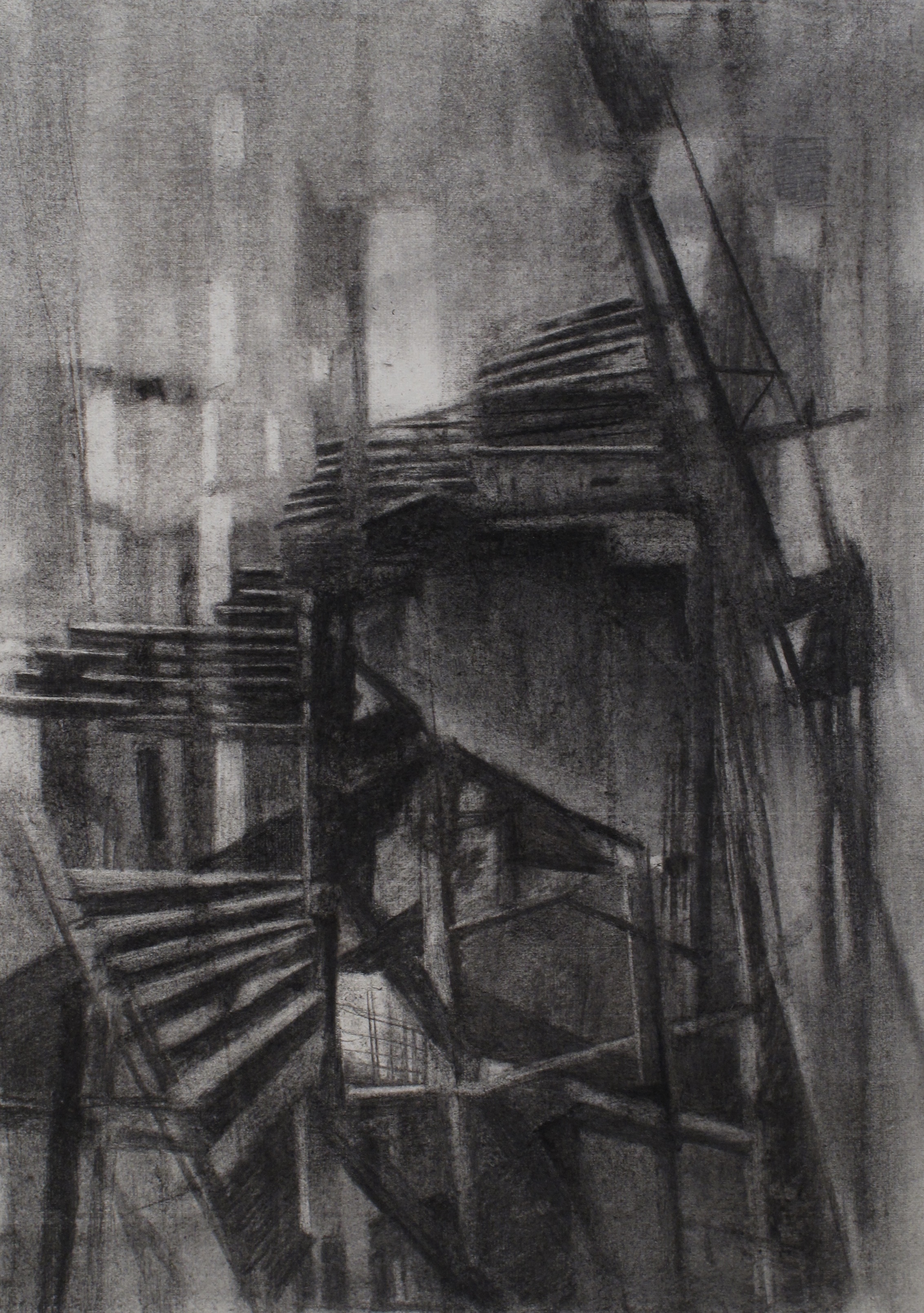 Fusain 57x32 2011