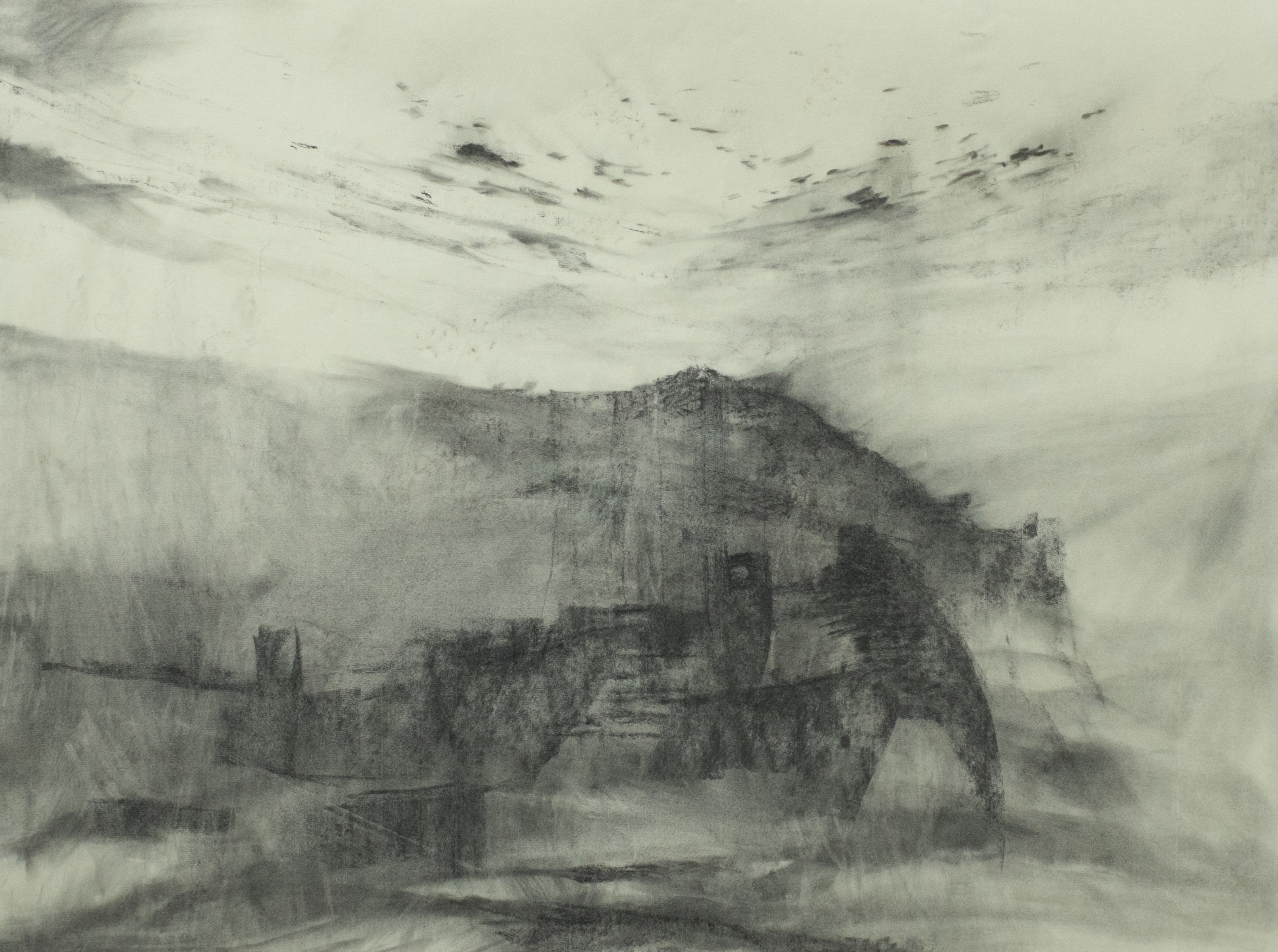 FUSAIN 68x93 2015