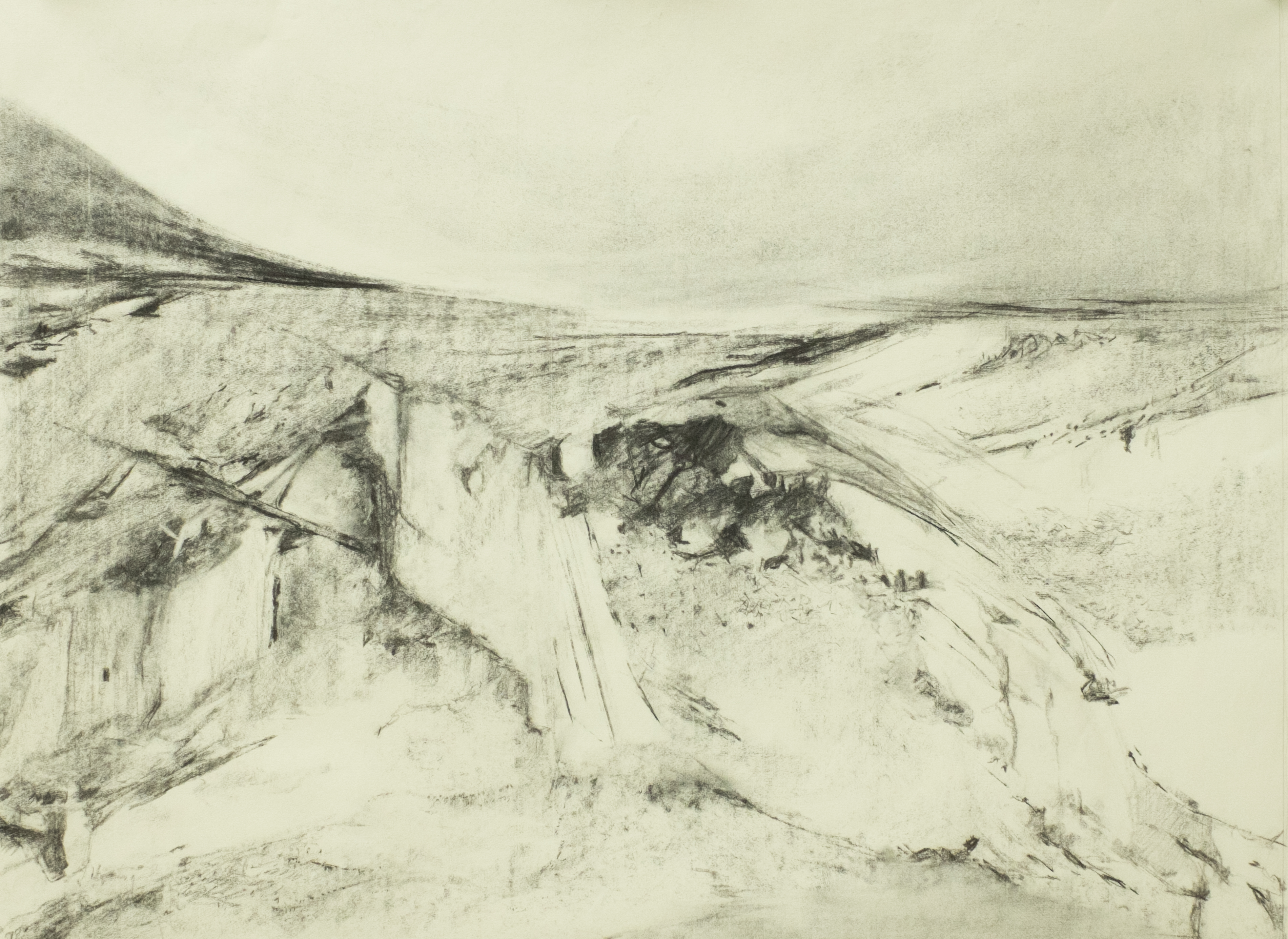 FUSAIN 73x86 2015