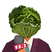 lahana.png