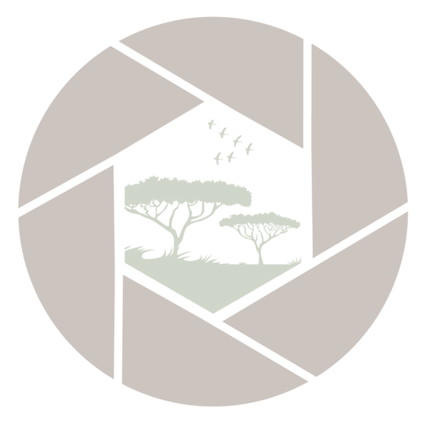 206 Media Logo no sun_edited_edited.png