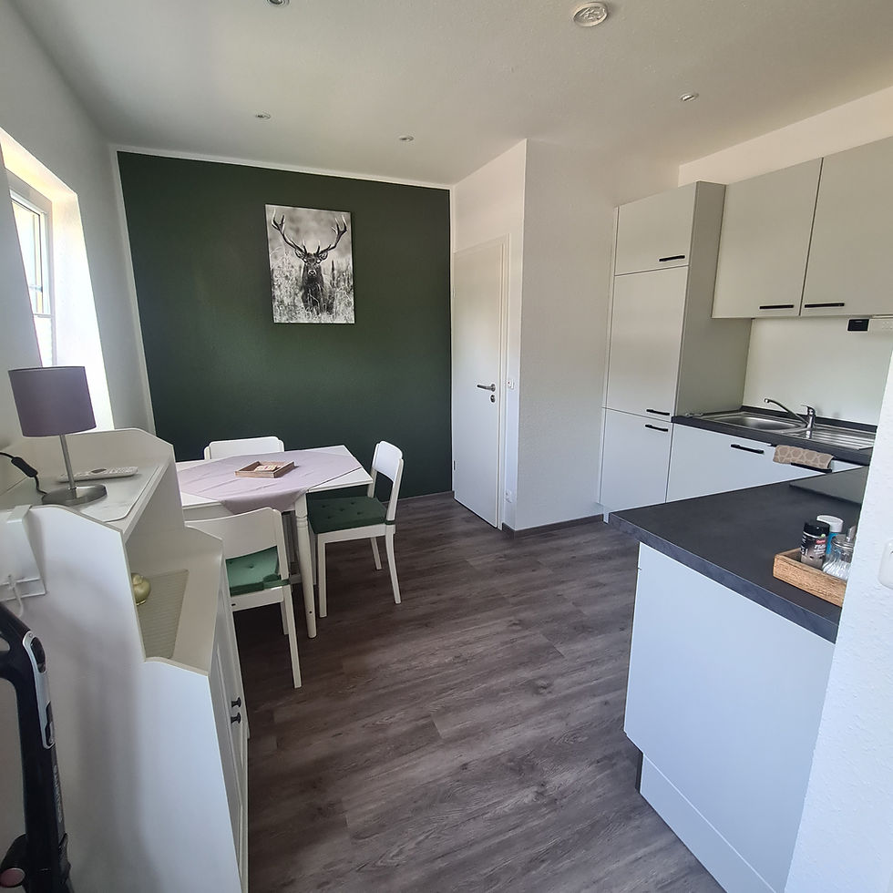 Gästewohnung Küche